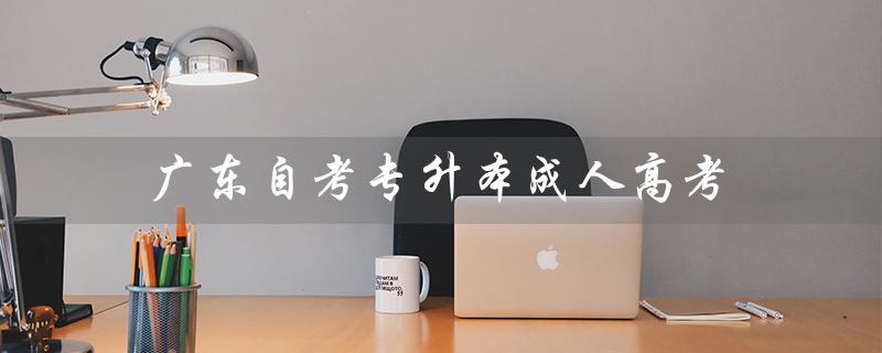 广东自考专升本成人高考（广东自考专升本报名时间是什么）