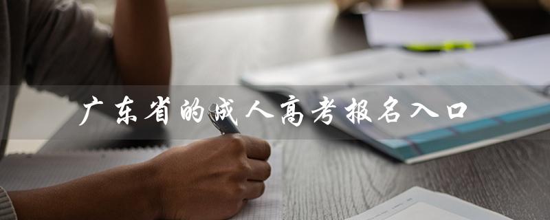 广东省的成人高考报名入口（广东省成人高考报名入口官网是什么）