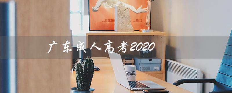 广东成人高考2020（广东成考是什么）
