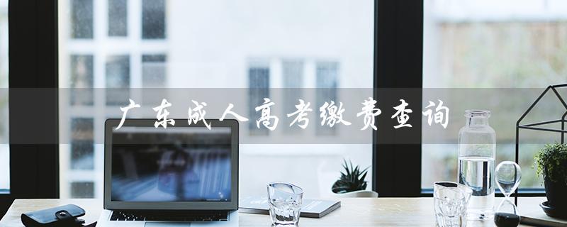 广东成人高考缴费查询（广东成考成绩查询）