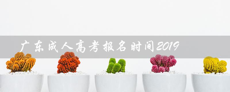 广东成人高考报名时间2019（2023年广东成人高考报名时间）