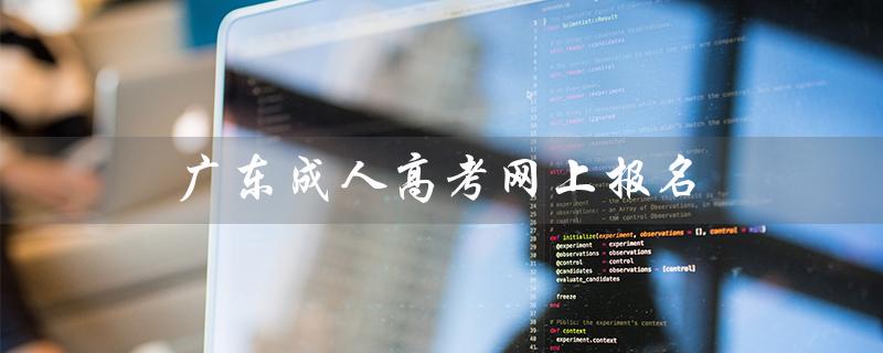 广东成人高考网上报名（广东成人高考网上报名如何进行）