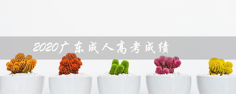 2020广东成人高考成绩（2020广东成考成绩查询入口在哪）