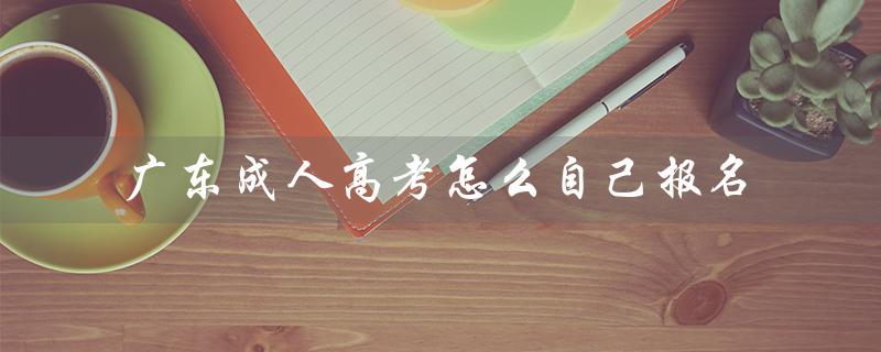 广东成人高考怎么自己报名（广东成考报名官网是什么）