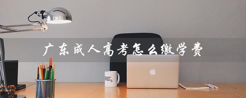 广东成人高考怎么缴学费（广东成考报名官网是什么）