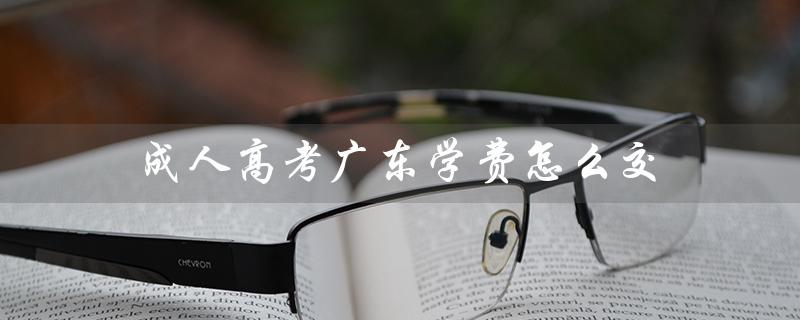 成人高考广东学费怎么交（成人高考学费多少）