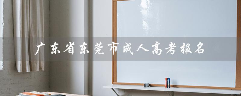 广东省东莞市成人高考报名（东莞市成人高考考试时间是什么）