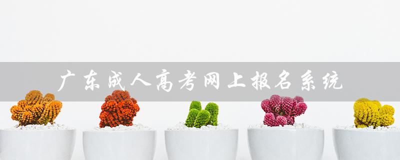 广东成人高考网上报名系统（广东成人高考报名官网是什么）