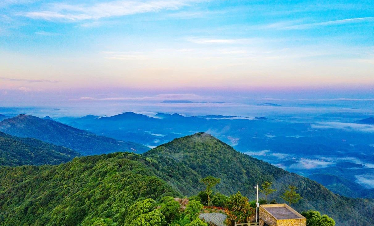 佛山成人高考（佛山成人高考的优势有哪些？）
